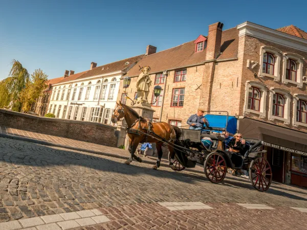 Koets op de Nepomucenusbrug