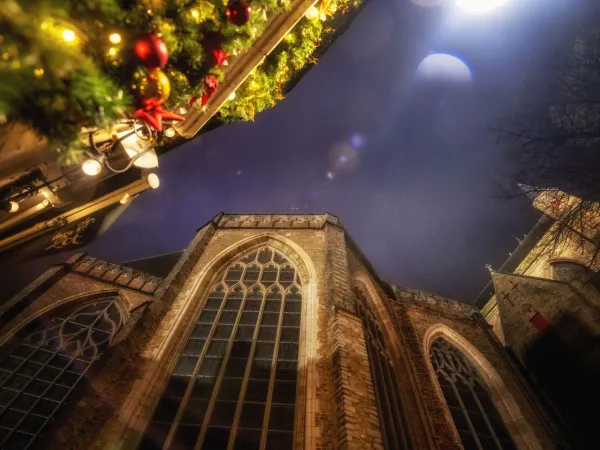 Lichtspektakel in de Sint-Salvatorskathedraal