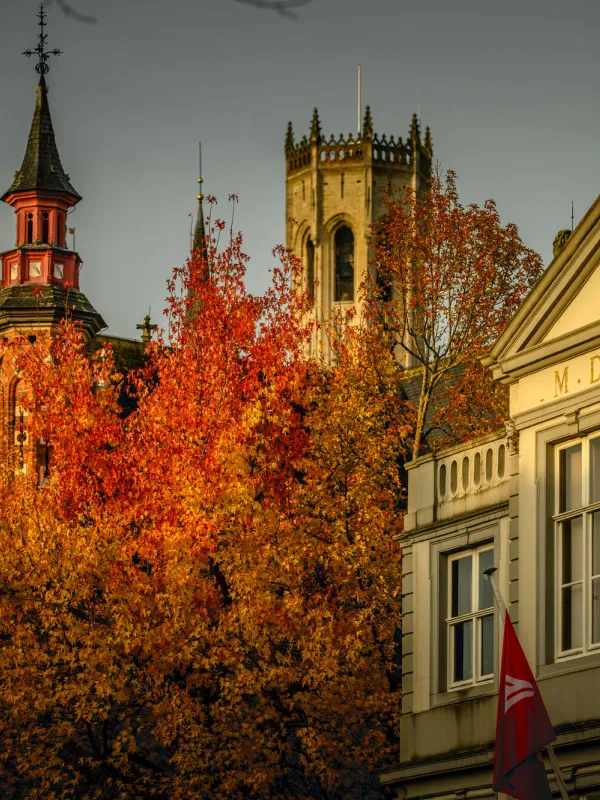 Zicht op Belfort tijdens de herfst in Brugge