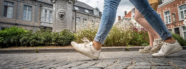 Wandelen in Brugge - Jan Darthet