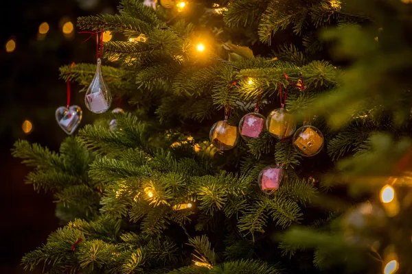 Kerstversiering - Wintergloed 2022