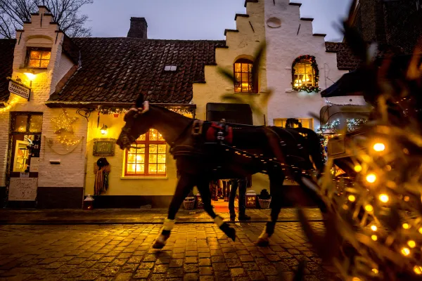 Kerstversiering - Wintergloed 2022