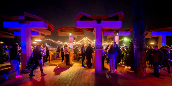 Winterbar Vorst - Wintergloed 2022