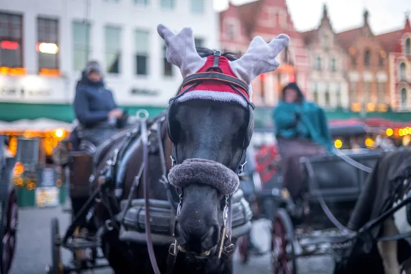 Kerstversiering - Wintergloed 2022