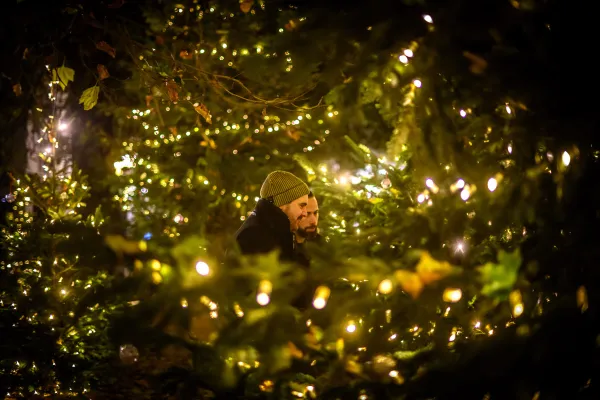 Kerstversiering - Wintergloed 2022