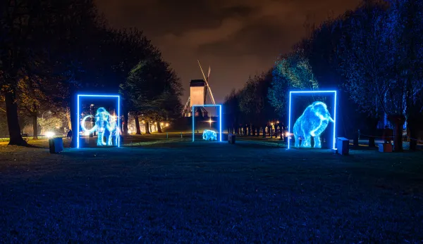 Triënnale Brugge 2024