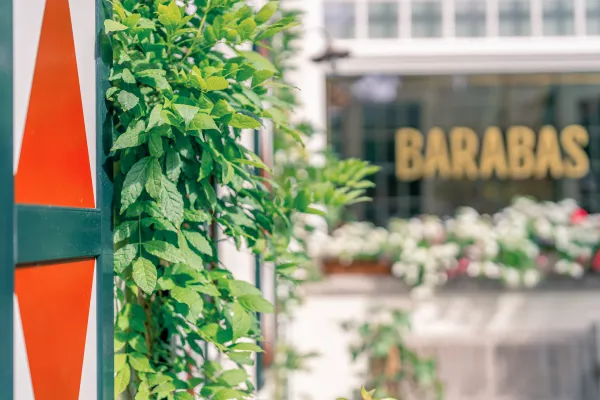B&B Barabas
