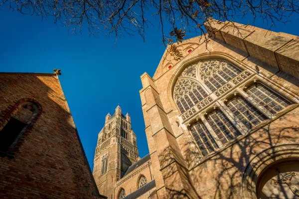 Sint-Salvatorskathedraal (Catedral de San Salvador)