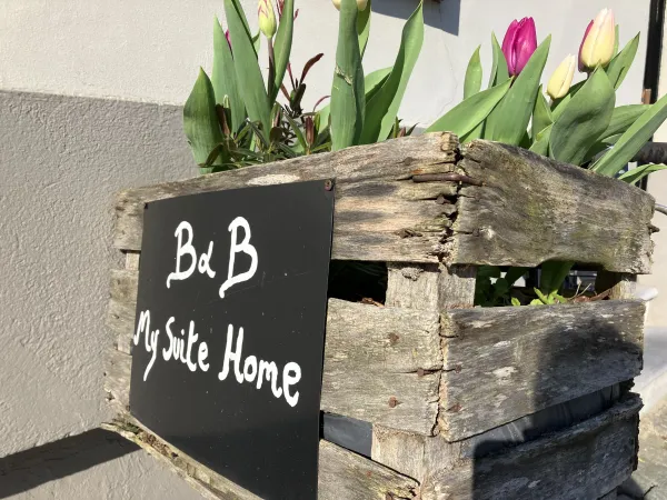 B&B My Suite Home