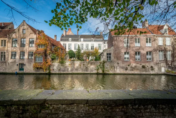 Groenerei