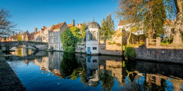 Groenerei
