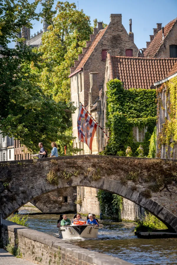 Groenerei