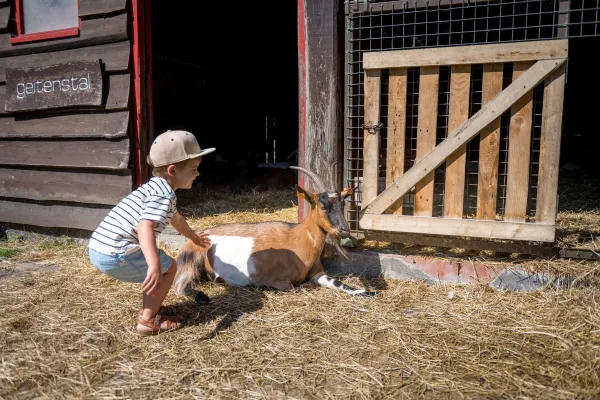 Kinderboerderij De Zeven Torentjes (Kinderbauernhof)