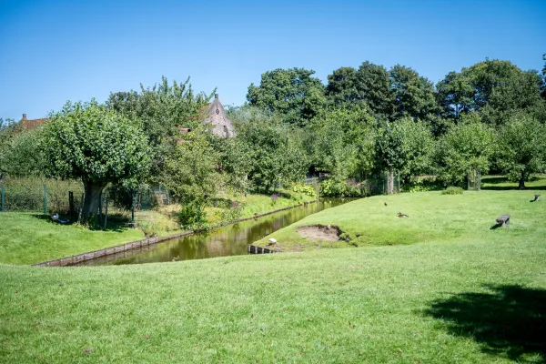Kinderboerderij De Zeven Torentjes (Kinderbauernhof)