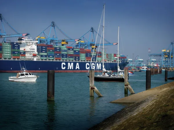 Visite du port en autocar avec guide
