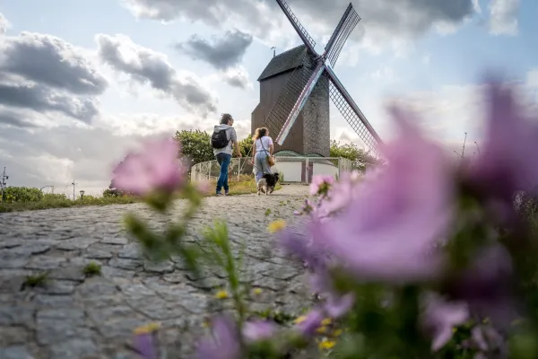 Koeleweimolen (Koelewei Mill)