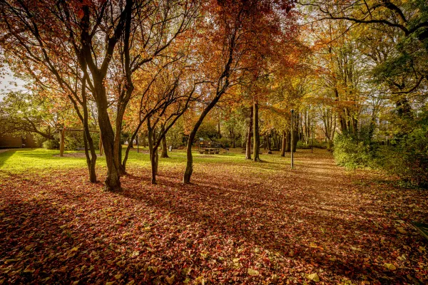 Sincfalpark