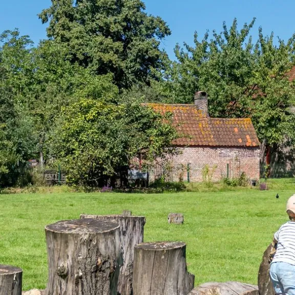 Kinderboerderij De Zeven Torentjes (Kinderbauernhof)