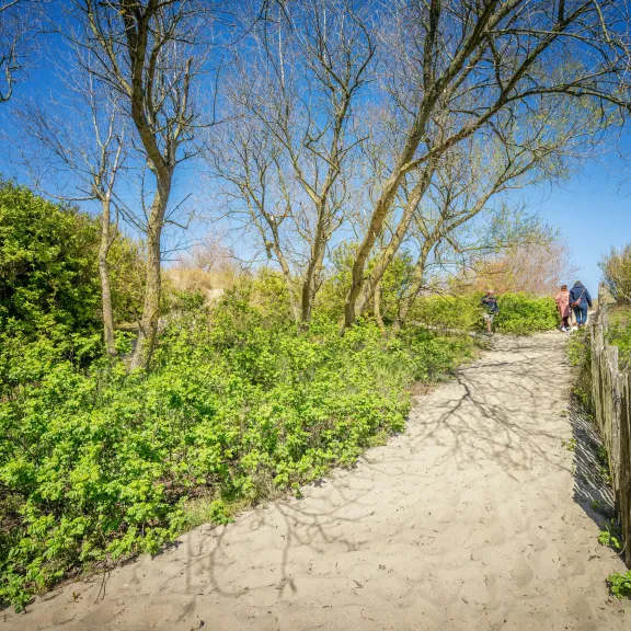 Kustwandel- en Kustfietsroute