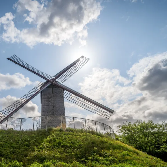 Koeleweimolen (Koelewei Mill)