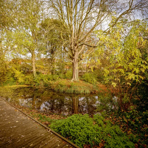 Pastoor Van Haeckeplantsoen (Pastor Van Haecke Garden)