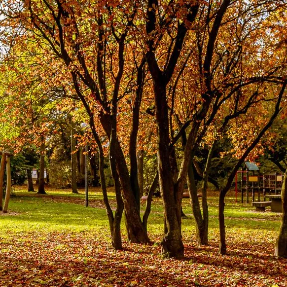 Sincfalpark