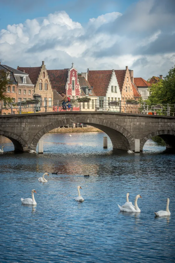 Reiefestival in Brugge